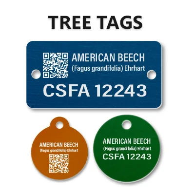 Engraved Tree Tags